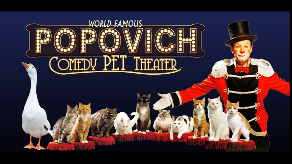 Popovich Comedy Pet Theater Las Vegas show at Planet Hollywood