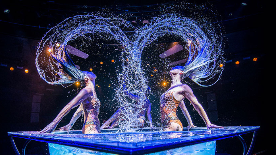 WOW! The Vegas Spectacular Las Vegas show at Rio Hotel & Casino
