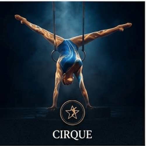 Cirque Shows in Las Vegas